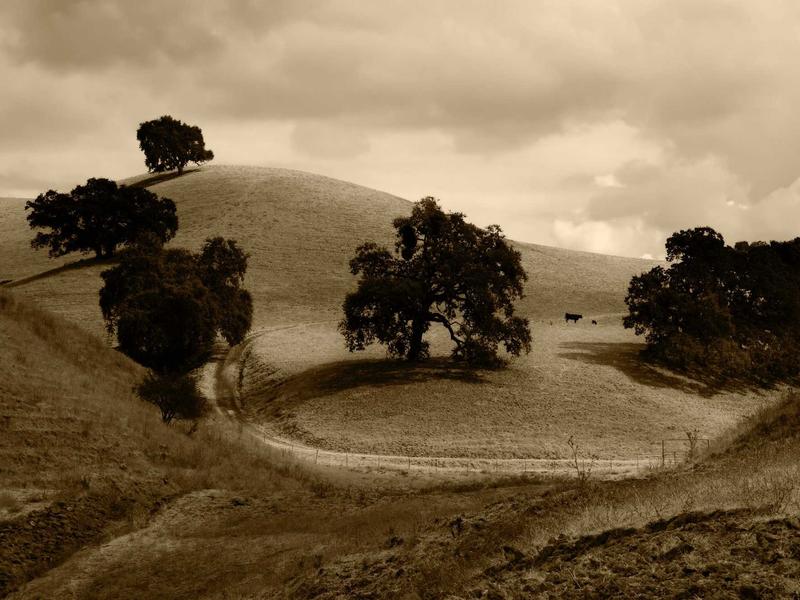 sudoku skill improvement screenshot 4